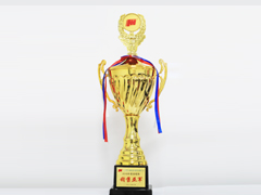 企業(yè)榮譽